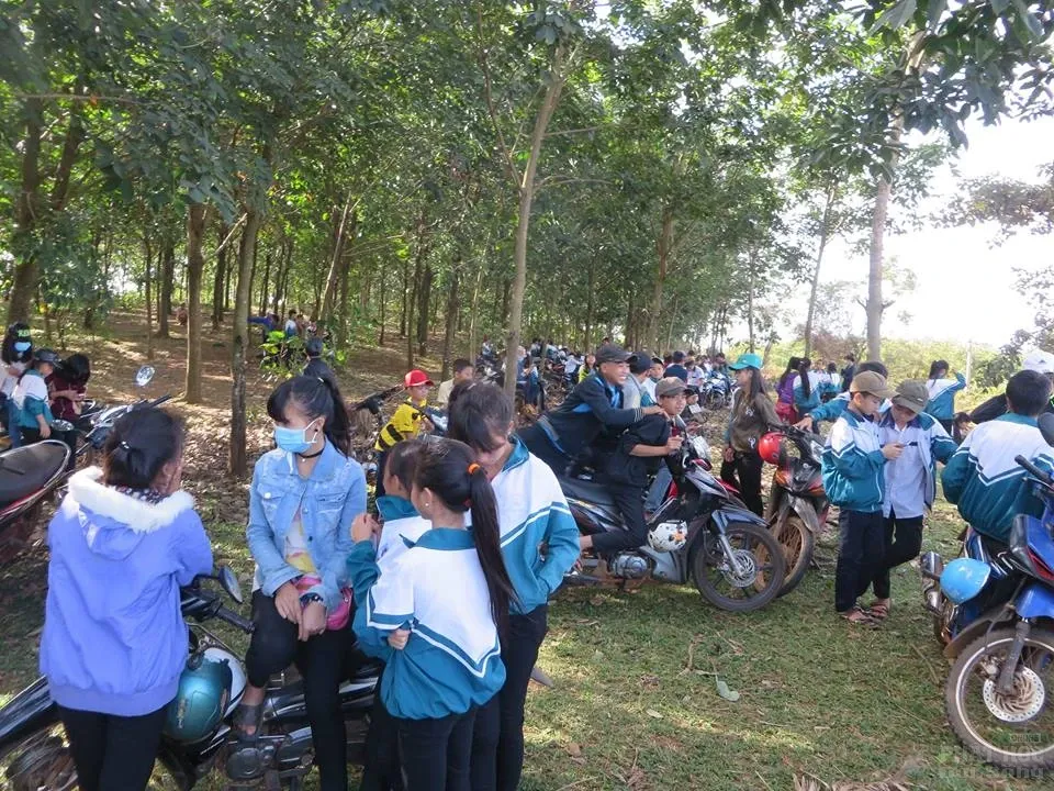 Phật giáo huyện Đăk Rlấp tặng quà tết tại xã Đăk Ngo image-1732289136514