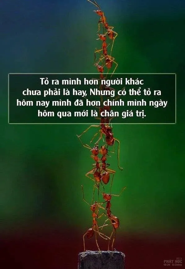 Ranh giới giữa Phật và ma image-1732292219911