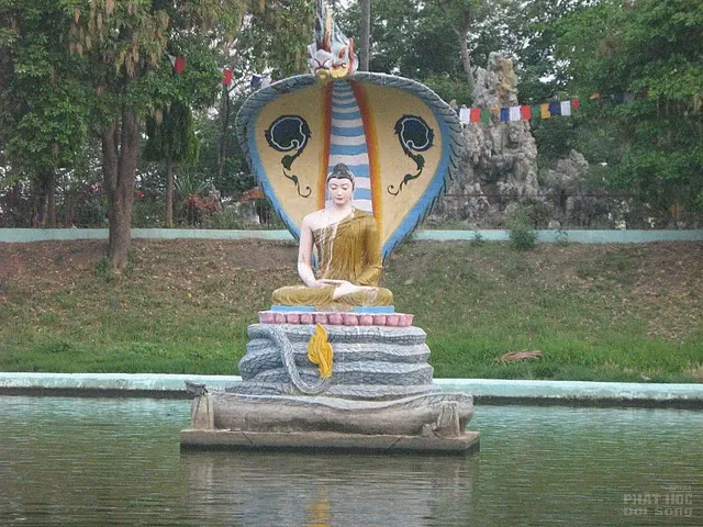 Rồng trong sự kiện đản sinh 3 Rồng trong sự kiện đản sinh image-1731746109286