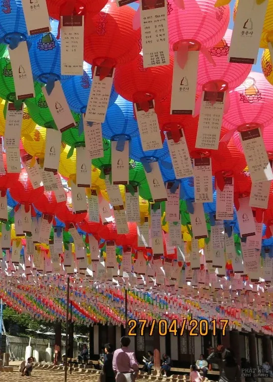 Rực rỡ lồng đèn Phật đản tại Hàn Quốc image-1731936416346