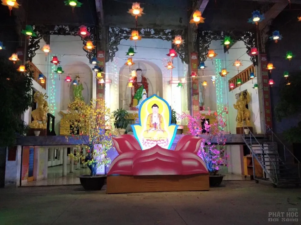 Sắc màu xuân về tại chùa Tịnh Nghiêm - Biên Hòa Sắc màu xuân về tại chùa Tịnh Nghiêm - Biên Hòa image-1731931912556