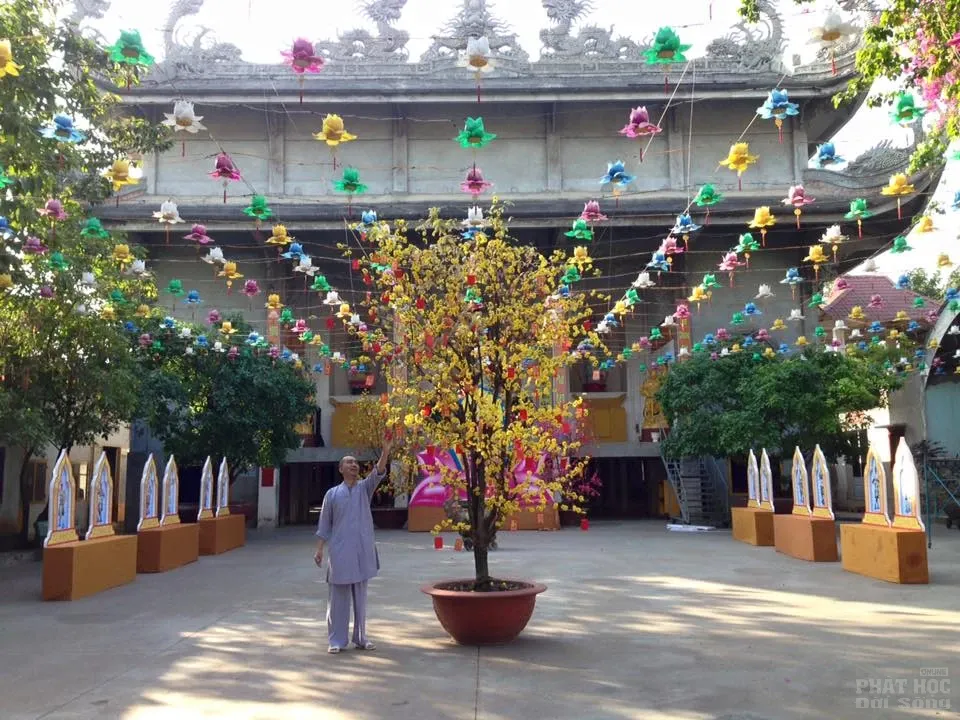 Sắc màu xuân về tại chùa Tịnh Nghiêm - Biên Hòa Sắc màu xuân về tại chùa Tịnh Nghiêm - Biên Hòa image-1731931913508