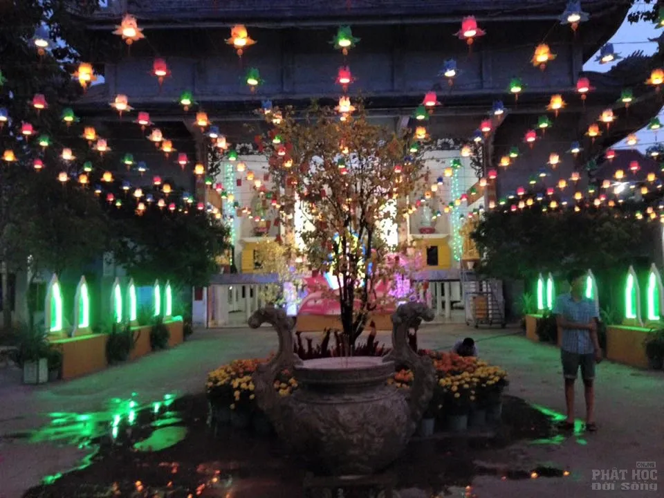 Sắc màu xuân về tại chùa Tịnh Nghiêm - Biên Hòa Sắc màu xuân về tại chùa Tịnh Nghiêm - Biên Hòa image-1731931914401