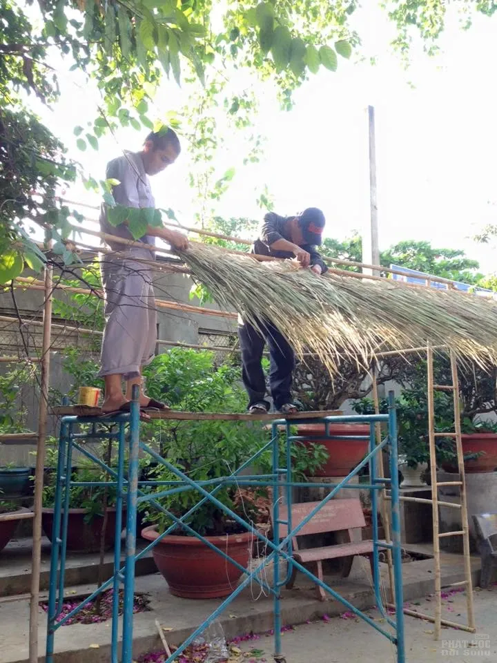 Sắc màu xuân về tại chùa Tịnh Nghiêm - Biên Hòa Sắc màu xuân về tại chùa Tịnh Nghiêm - Biên Hòa image-1731931915355