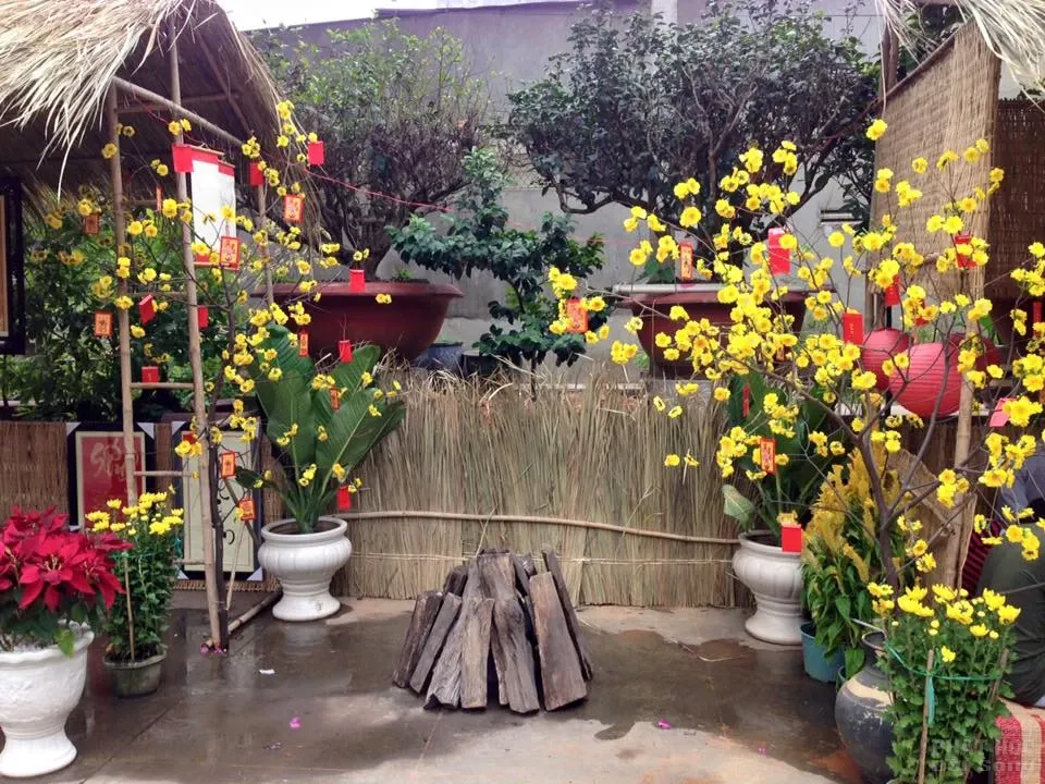 Sắc màu xuân về tại chùa Tịnh Nghiêm - Biên Hòa Sắc màu xuân về tại chùa Tịnh Nghiêm - Biên Hòa image-1731931916173