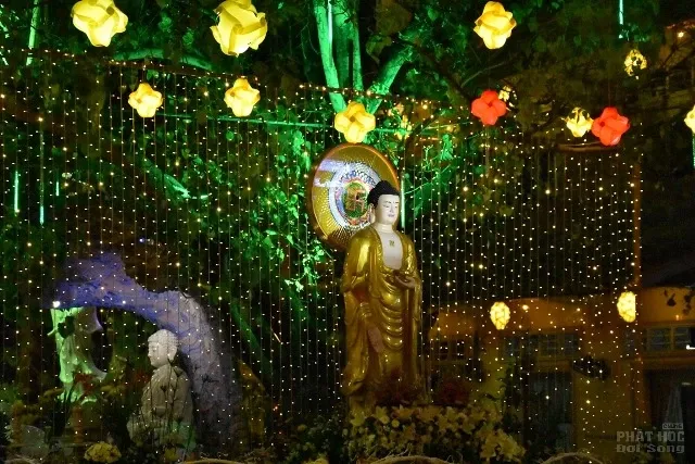 Sài Gòn: Tịnh xá Lộc Uyển vía Phật A Di Đà image-1731931171270