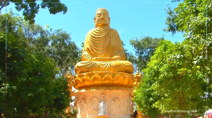 Sóc Trăng: Sắp có khóa tu mùa hè 'Phật trong ta lần 1' chùa Thiên Thới image-1732289273691