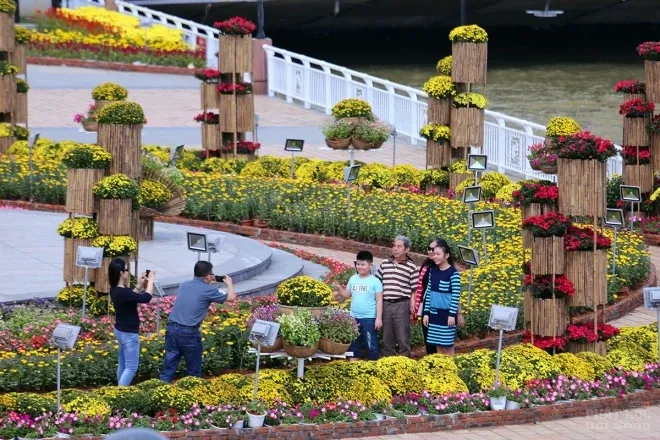 Sông Hàn Đà Nẵng 'khoác áo' hoa đón Tết 2 Sông Hàn Đà Nẵng 'khoác áo' hoa đón Tết image-1731931835943