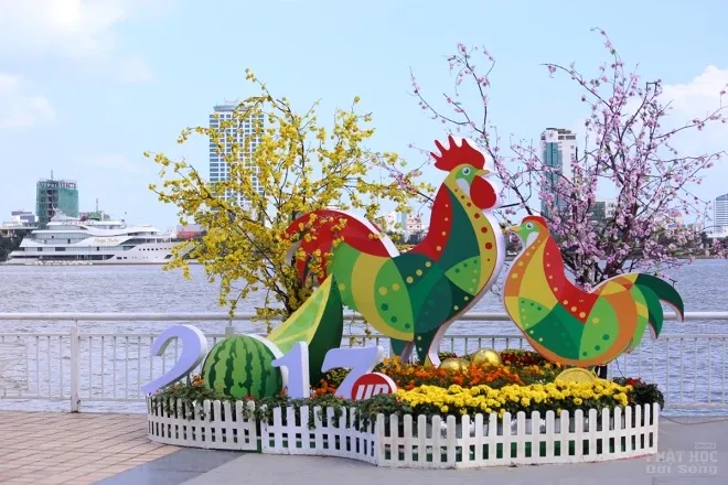 Sông Hàn Đà Nẵng 'khoác áo' hoa đón Tết 5 Sông Hàn Đà Nẵng 'khoác áo' hoa đón Tết image-1731931837852