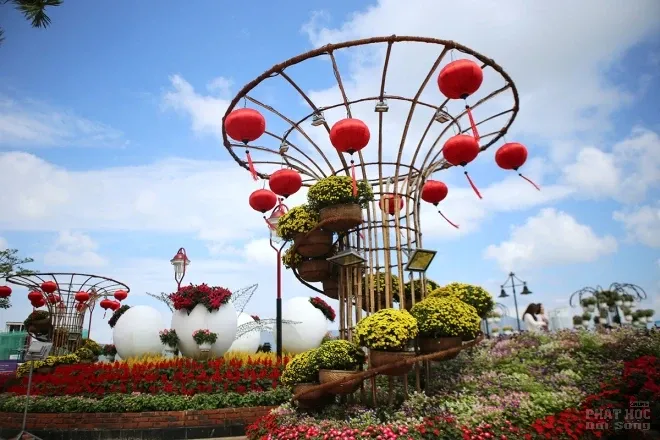 Sông Hàn Đà Nẵng 'khoác áo' hoa đón Tết 9 Sông Hàn Đà Nẵng 'khoác áo' hoa đón Tết image-1731931840542
