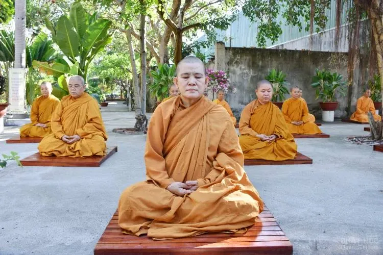 Sự trở về nguồn cội của người con xuất sĩ image-1731944726378