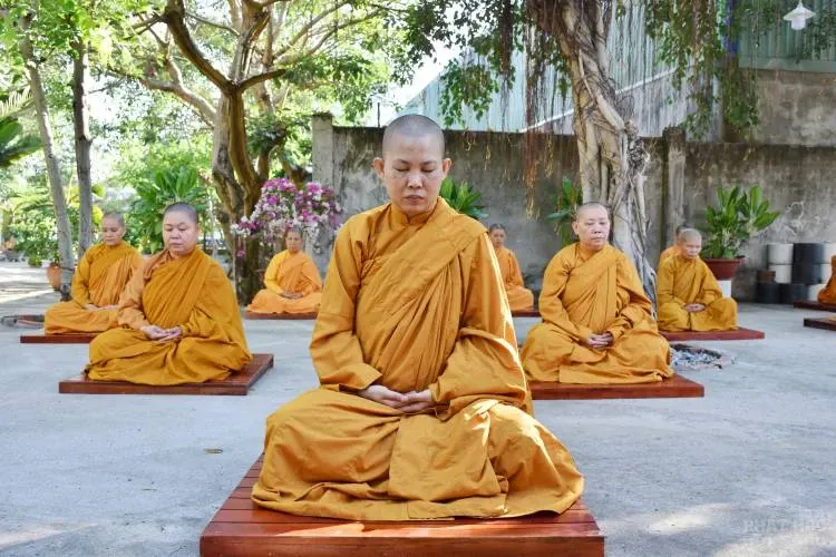 Sự trở về nguồn cội của người con xuất sĩ image-1731944727031