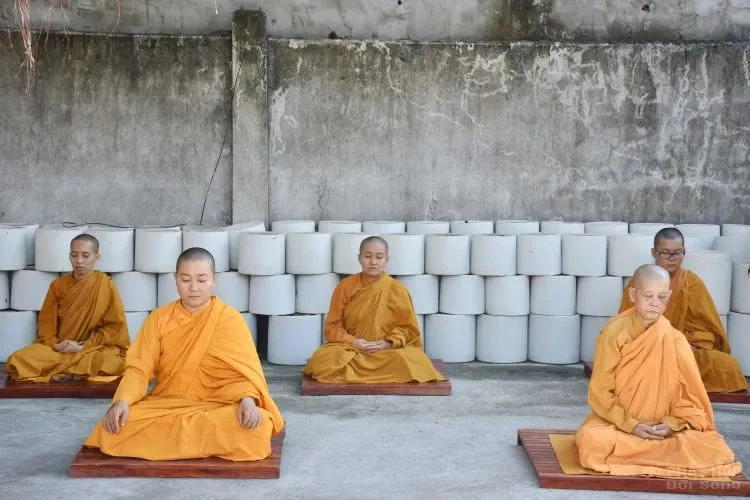 Sự trở về nguồn cội của người con xuất sĩ image-1731944727815