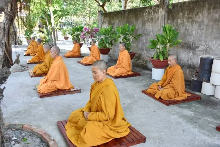 Sự trở về nguồn cội của người con xuất sĩ image-1731944728508