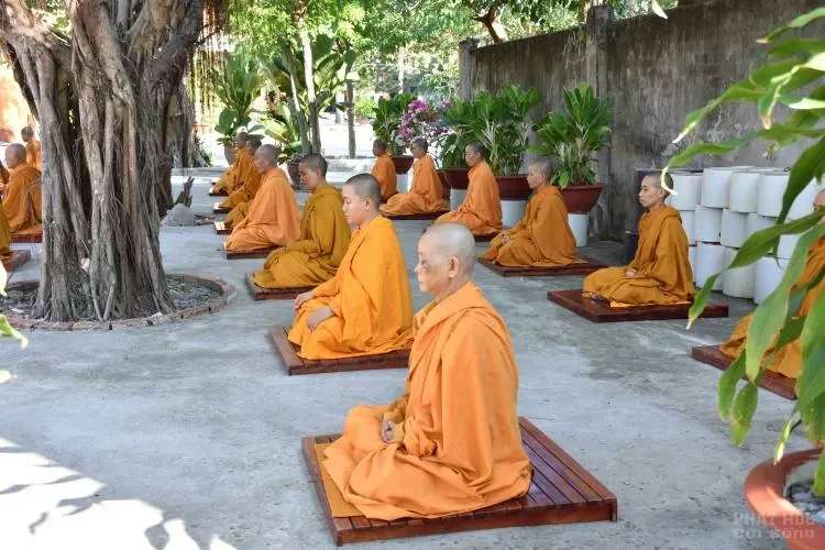 Sự trở về nguồn cội của người con xuất sĩ image-1731944729997