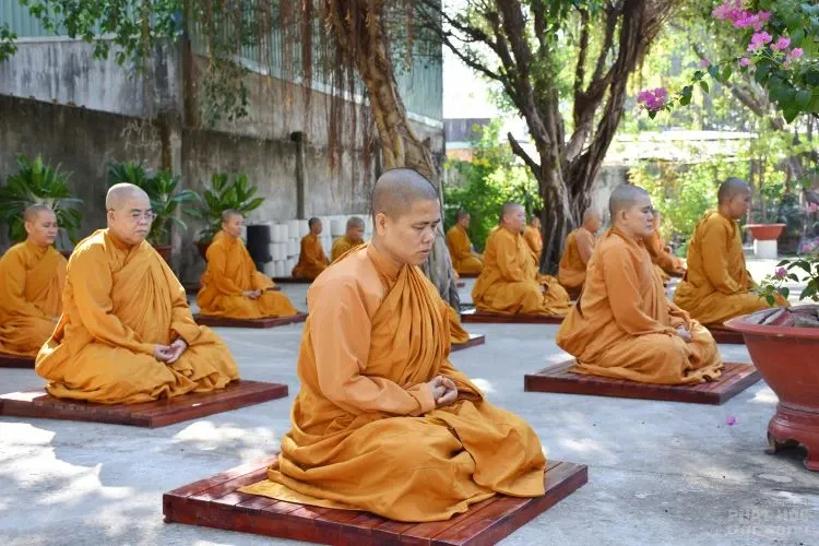 Sự trở về nguồn cội của người con xuất sĩ image-1731944733169