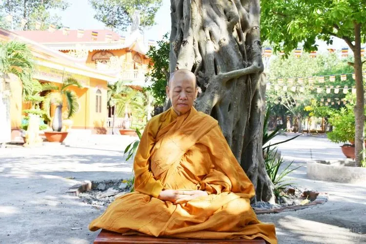 Sự trở về nguồn cội của người con xuất sĩ image-1731944733859