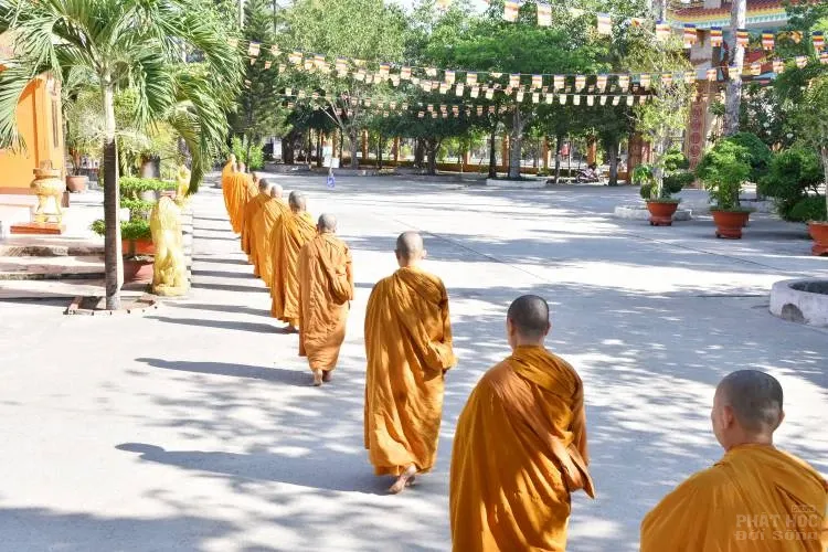 Sự trở về nguồn cội của người con xuất sĩ image-1731944734571