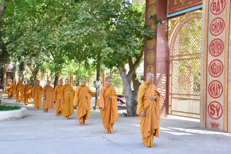 Sự trở về nguồn cội của người con xuất sĩ image-1731944738368