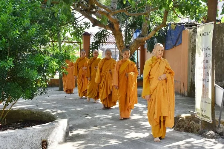 Sự trở về nguồn cội của người con xuất sĩ image-1731944740497