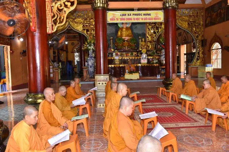 Sự trở về nguồn cội của người con xuất sĩ image-1731944745630