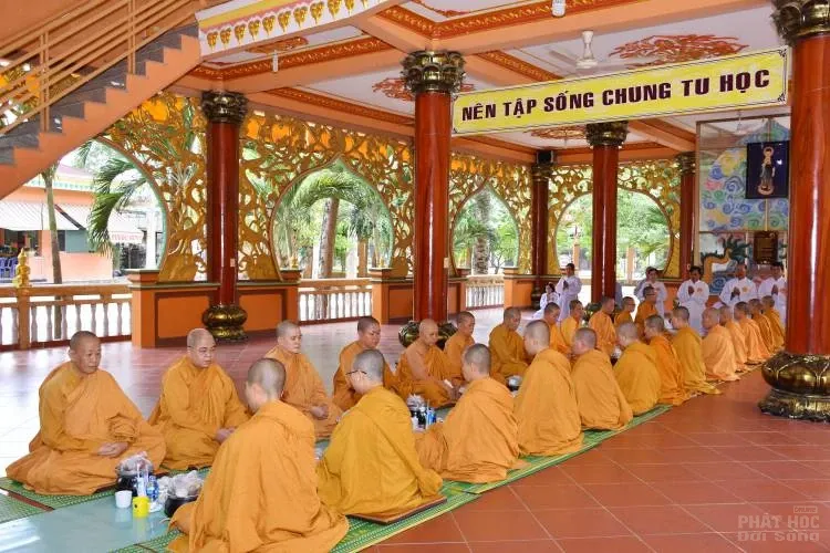 Sự trở về nguồn cội của người con xuất sĩ image-1731944757093