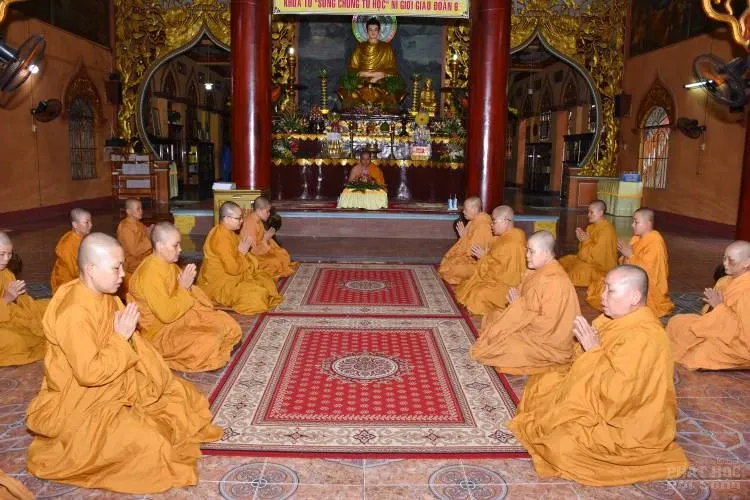 Sự trở về nguồn cội của người con xuất sĩ image-1731944757816