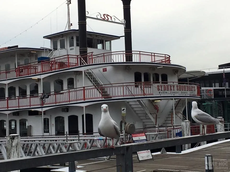 Sydney và những biểu tượng image-1731747784814