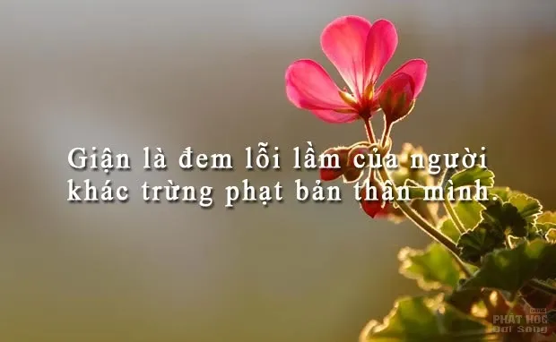 Tại sao phải tức giận? Tại sao phải tức giận? image-1731934699339