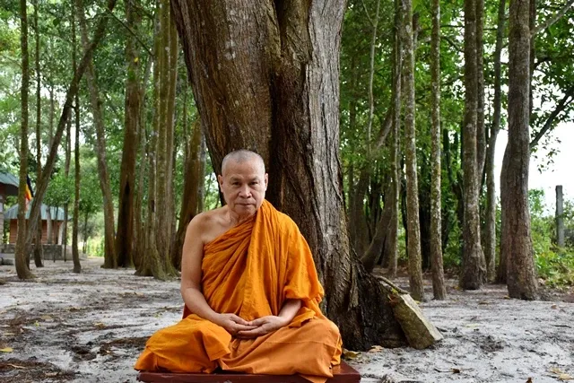 Tấn tu image-1731946473877