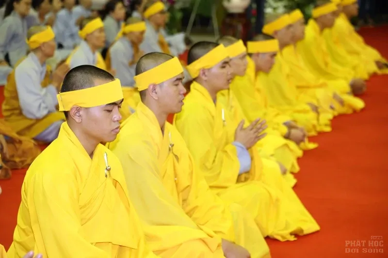 Tang lễ cố Hòa thượng Thích Quang Đạo ngày 19/7 110 Tang lễ cố Hòa thượng Thích Quang Đạo ngày 19/7 image-1732291394756