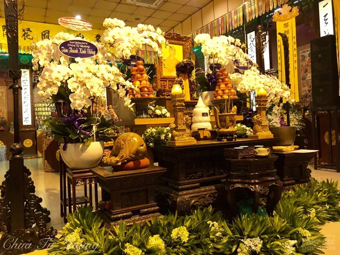 Tang lễ ĐĐ. Thích Giác Thiện nguyên trụ trì chùa Từ Quang 6 Tang lễ ĐĐ. Thích Giác Thiện nguyên trụ trì chùa Từ Quang image-1731945323806