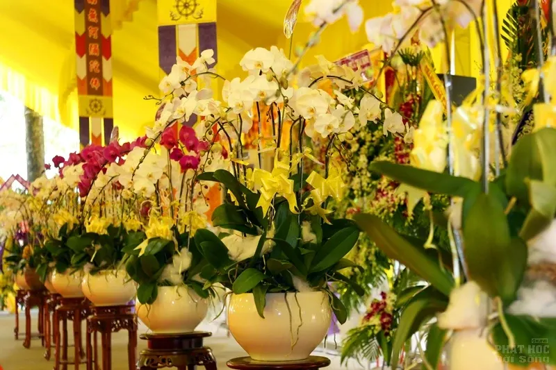 Tang lễ HT. Thích Quang Đạo ngày 19/7 1 Tang lễ HT. Thích Quang Đạo ngày 19/7 image-1731939373883