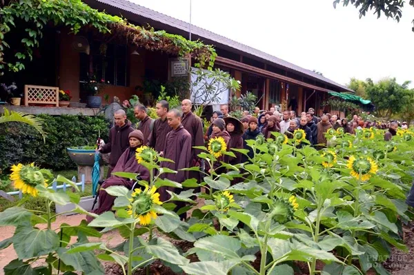 Tăng thân Làng Mai dựng cây nêu, gói bánh chưng đón Tết trên đất Thái image-1731932985376