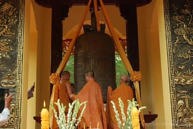 Tây Ninh: Hân hoan mừng lễ Phật đản & hành theo hạnh từ bi của Đức Phật image-1731746875685