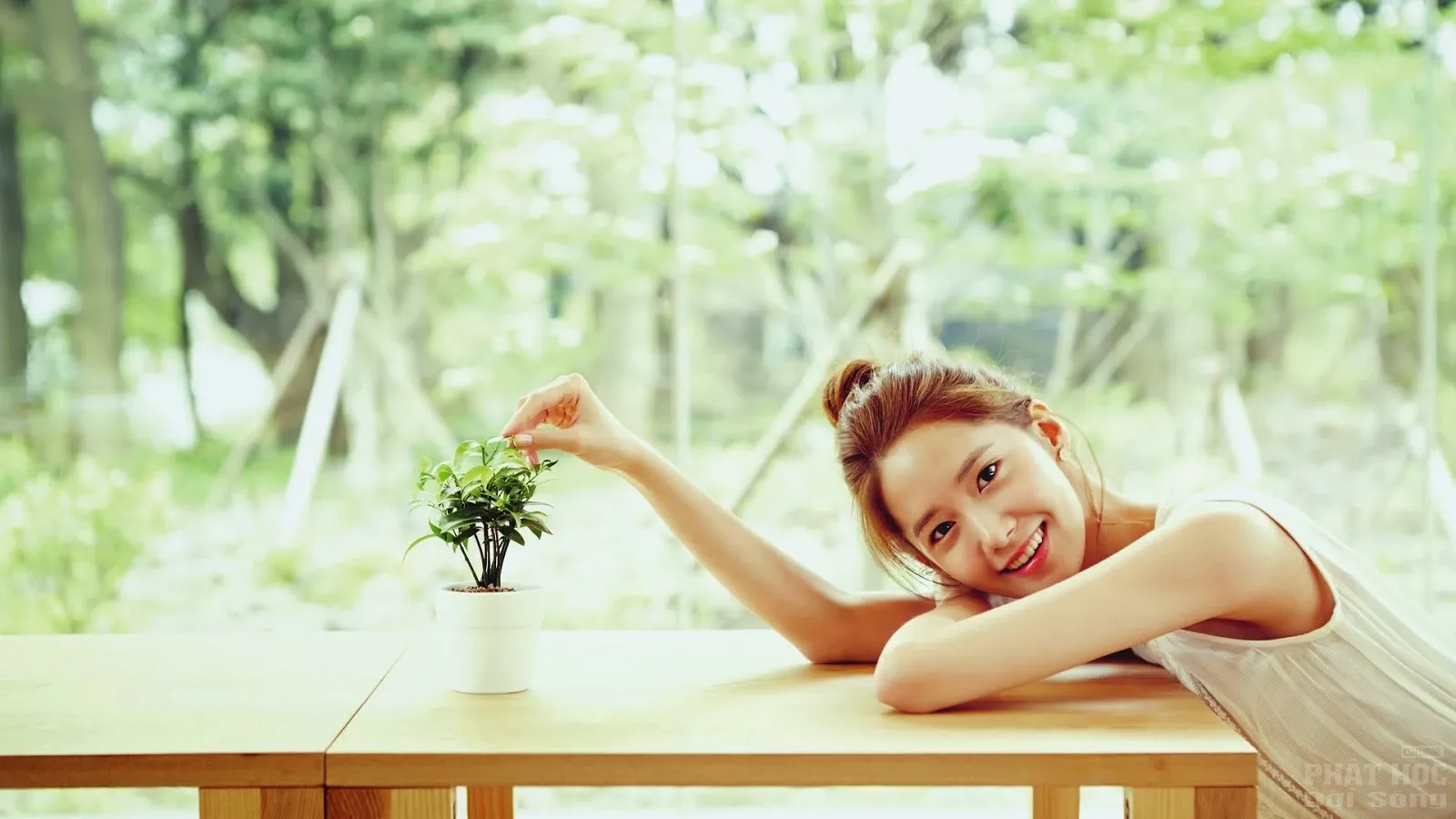 Thất bại khiến bạn trở nên thành công hanh thông trong cuộc sống Thất bại khiến bạn trở nên thành công hanh thông trong cuộc sống image-1731935656107