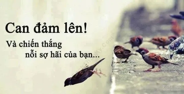 Thất bại khiến bạn trở nên thành công hanh thông trong cuộc sống Thất bại khiến bạn trở nên thành công hanh thông trong cuộc sống image-1731935657697