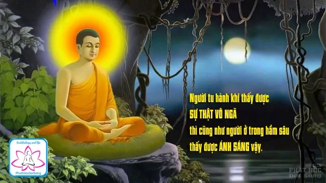 Thấy vô ngã là thấy Pháp thấy Phật image-1732291025501