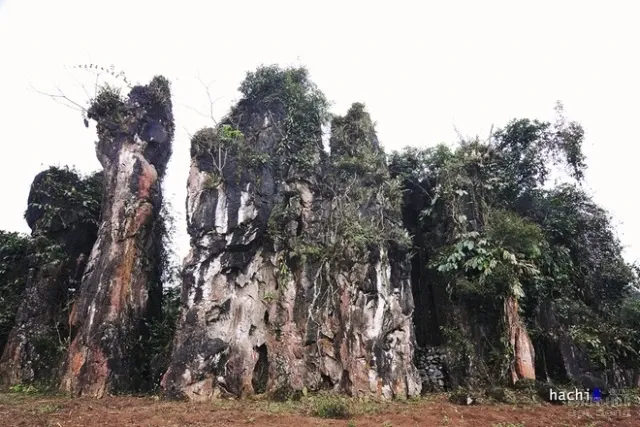 Thiên đường xám trên cao nguyên đá Đồng Văn image-1732290294710