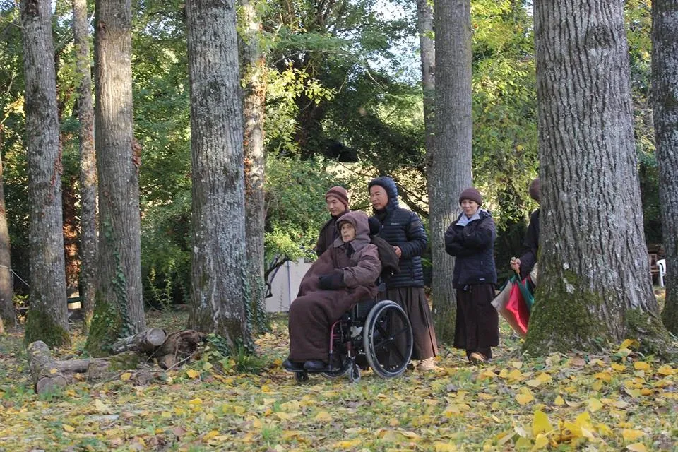 Thiền sư Nhất Hạnh những hình ảnh mới nhất 4 Thiền sư Nhất Hạnh những hình ảnh mới nhất image-1731920981706