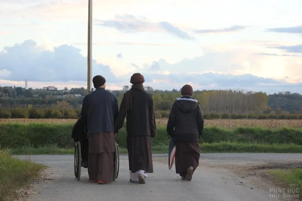 Thiền sư Nhất Hạnh những hình ảnh mới nhất 5 Thiền sư Nhất Hạnh những hình ảnh mới nhất image-1731920982609