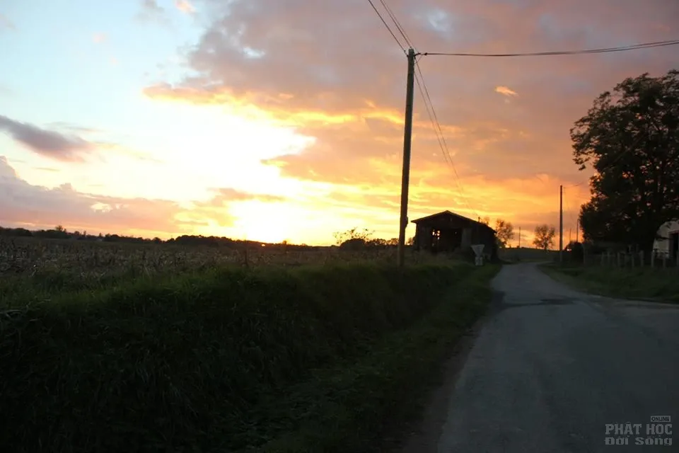 Thiền sư Nhất Hạnh những hình ảnh mới nhất 6 Thiền sư Nhất Hạnh những hình ảnh mới nhất image-1731920983506