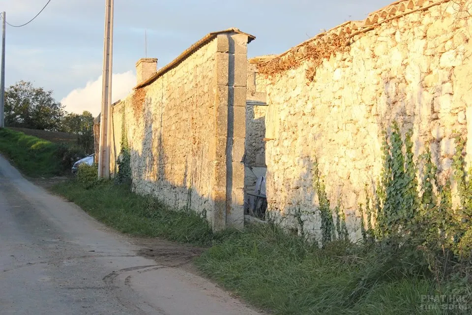 Thiền sư Nhất Hạnh những hình ảnh mới nhất image-1731920990399