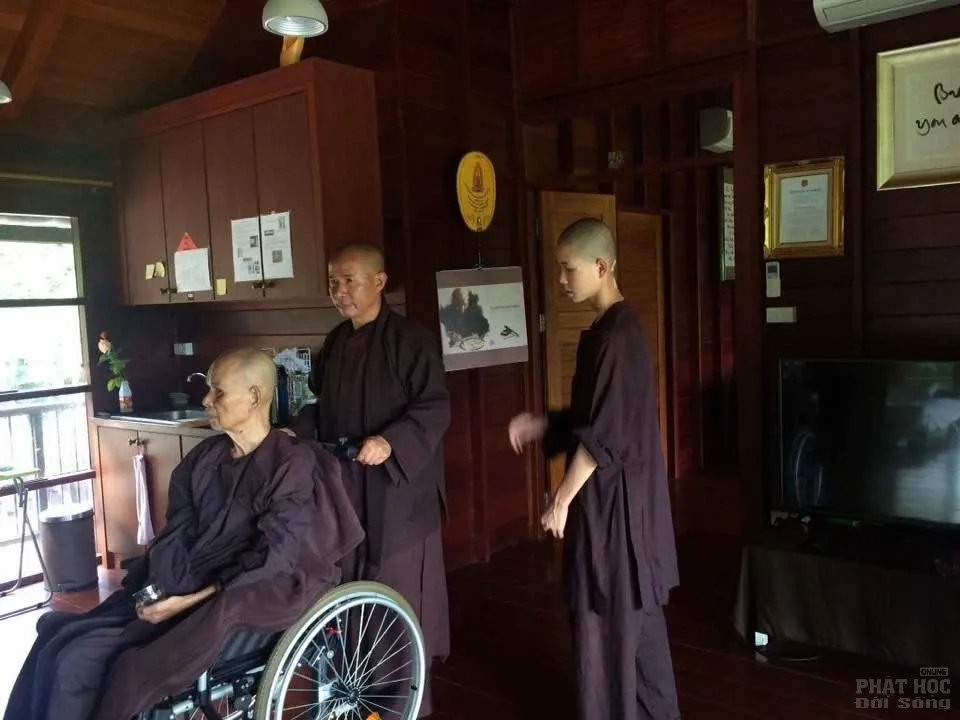 Thiền sư Nhất Hạnh từ Đà Nẵng ra chùa Từ Hiếu - Huế nghỉ dưỡng image-1732289838255