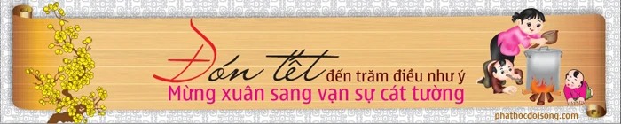Thiết kế băng rôn xuân Đinh dậu 2017 image-1731933160514