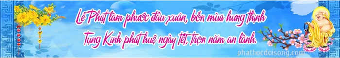 Thiết kế băng rôn xuân Đinh dậu 2017 image-1731933162963
