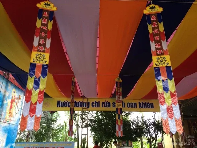 Thiết kế in ấn tràng phan bảo cái image-1732292554472