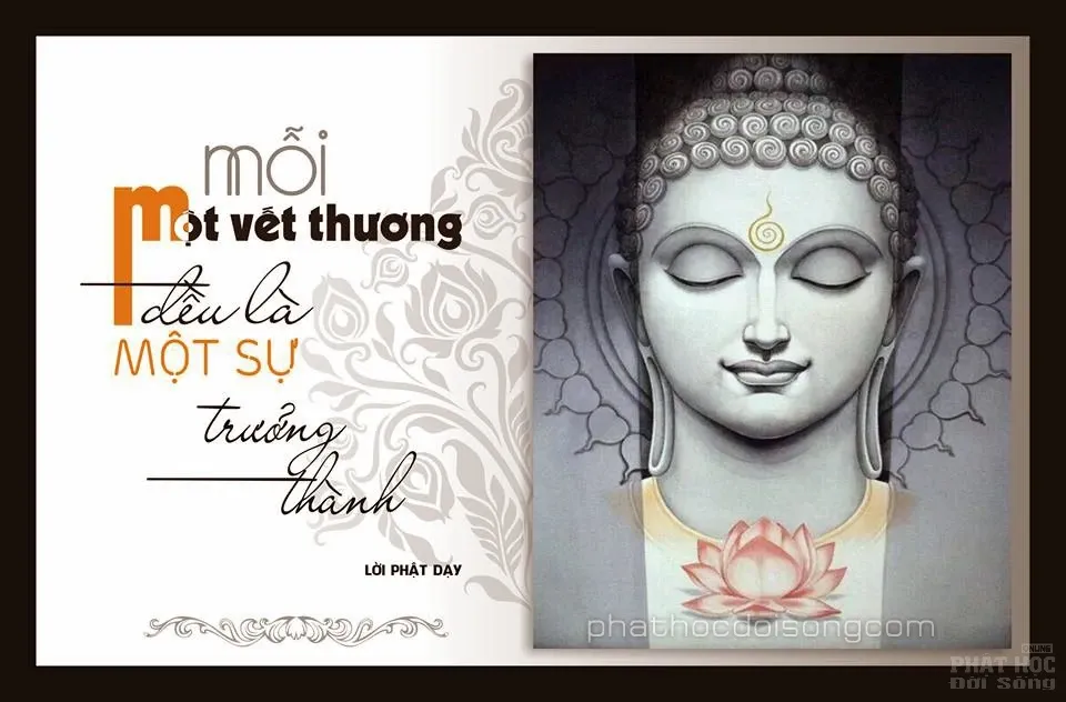 Thiết kế Vu Lan 2016 image-1731726423142