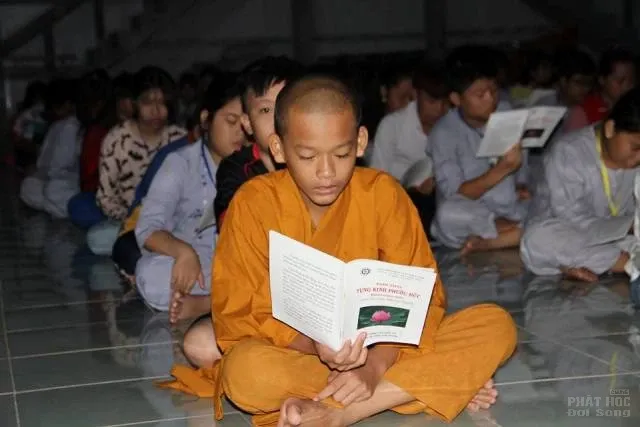 Thực tập đời sống phạm hạnh qua khóa tu mùa hè image-1731937206291