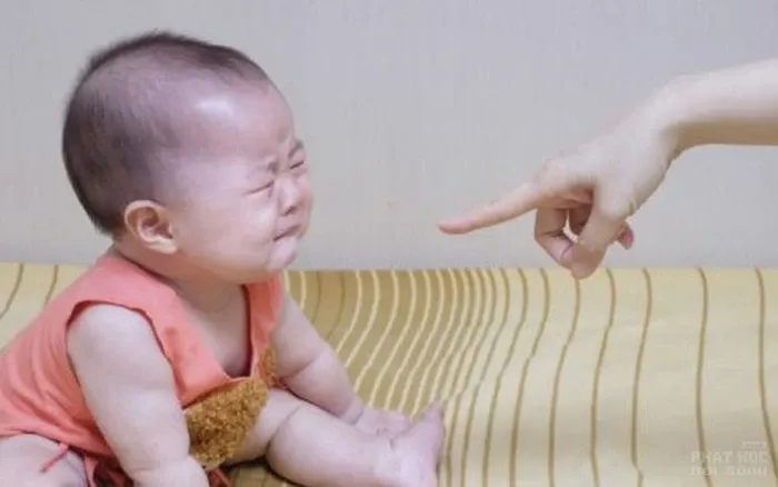 Thương cho roi cho vọt có hiệu quả không? image-1731935478375